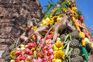 Monkey are eating a heap of fruit at Monkey Chinese banquet Festival at Praprangsamyod Lopburi Thailand