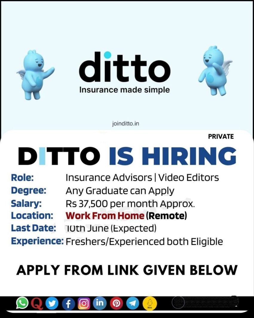 Ditto Campus Drive 2023 (Insurance Advisor & Video Editors)