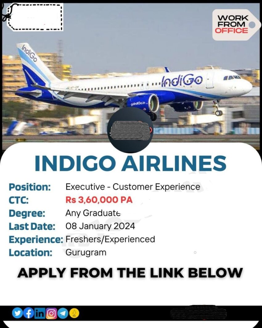 Indigo Airlines Recruitment 2024 | Executive