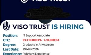 VISO TRUST Work from Home Jobs 2024 | IT Support Associate